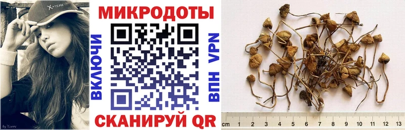 Купить закладки  Обнинск  Псилоцибиновые грибы ЛСД 